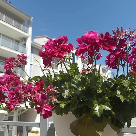 Apartament 2-bedroom With Pool In Elit 2 *